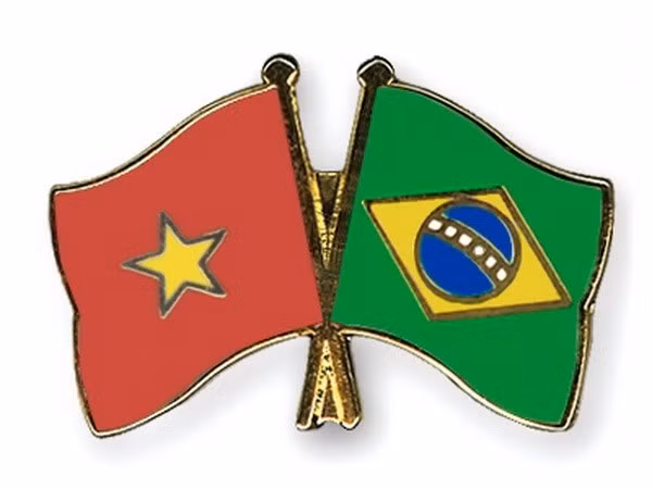 Vietnam strengthens partnership with Brazil ảnh 1 Vietnam strengthens partnership with Brazil ảnh 1