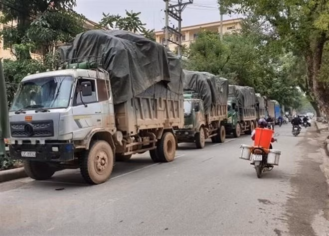 An Giang province to install anti-smuggling cameras ảnh 1