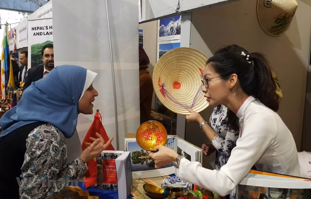 Vietnam leaves strong impression at cultural festival in Egypt ảnh 1