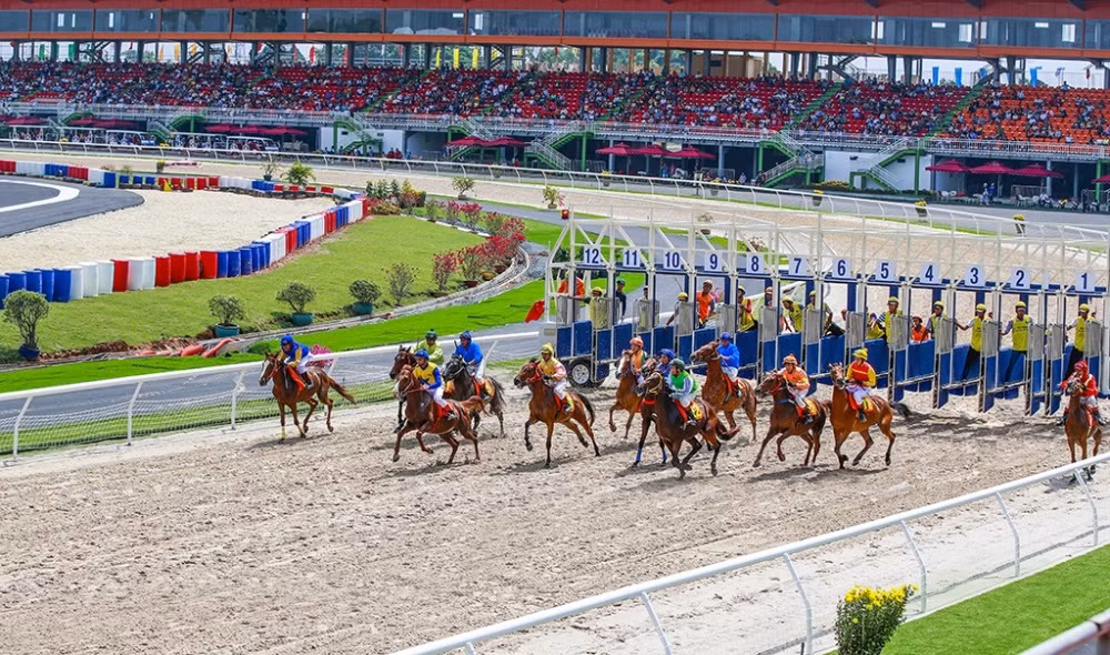 Hanoi authorities to facilitate deployment of horse racetrack project ảnh 1