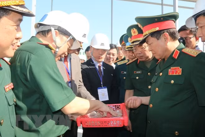 Dioxin detoxification at Bien Hoa airport inspected ảnh 1
