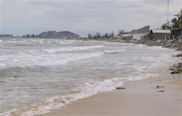 Vietnam learns from int’l experience in marine spatial planning ảnh 1