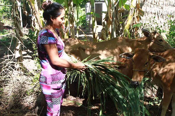 Tra Vinh works to improve Khmer people’s life ảnh 1