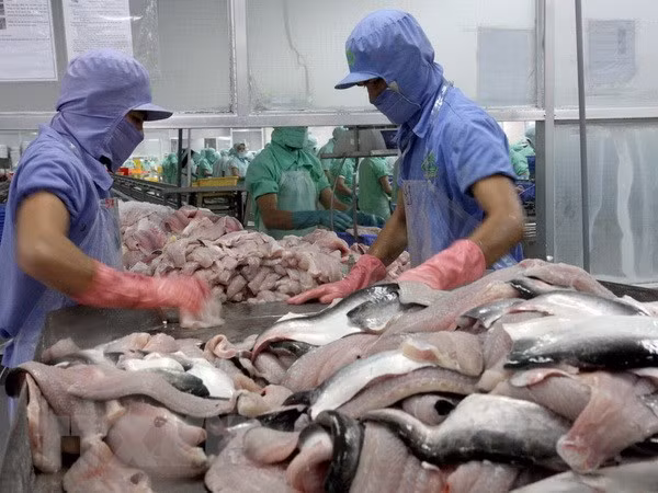 Can Tho’s import-export, service turnover hits over 2 billion USD ảnh 1