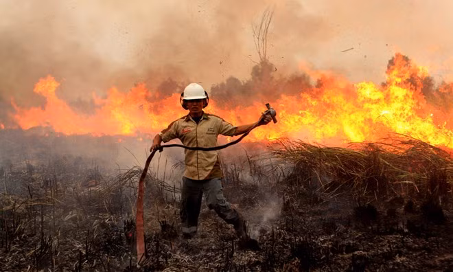 Many forest fire hotspots discovered in Indonesia ảnh 1 Many forest fire hotspots discovered in Indonesia ảnh 1