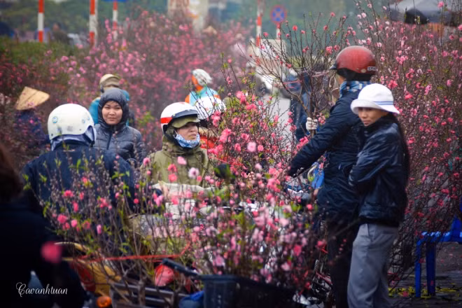 Hanoi flower market among top spots for Lunar New Year celebrations: CNN ảnh 2