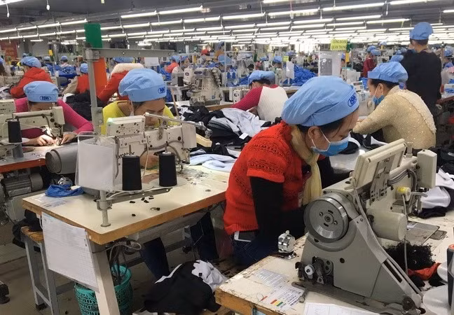 Garment, fishery firms plan production growth this year ảnh 1