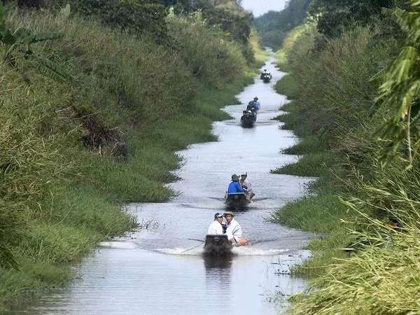 Eco-tourism site to be developed in U Minh Ha National Park ảnh 1 Eco-tourism site to be developed in U Minh Ha National Park ảnh 1