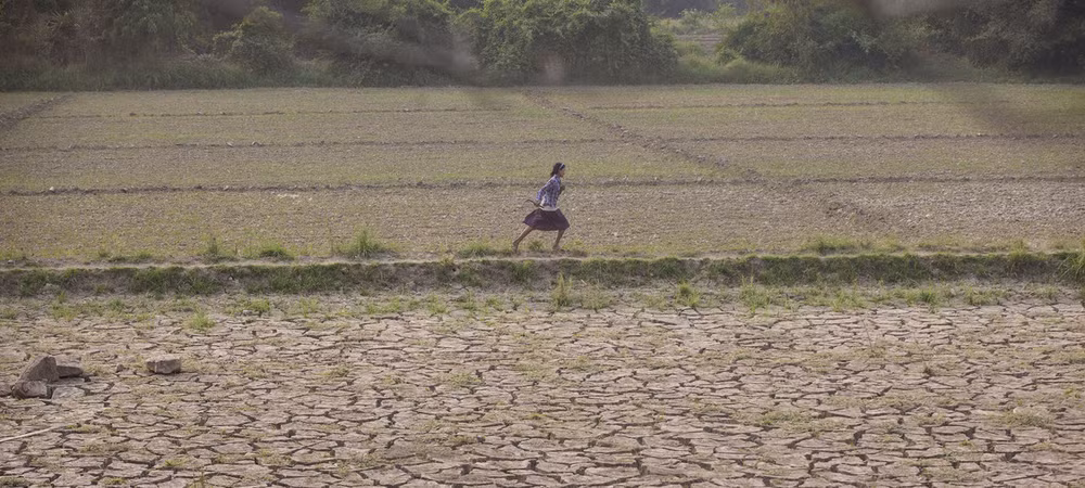 FAO assists Myanmar to improve food security ảnh 1