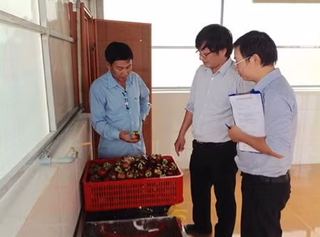 Safety standards maximise profits for fruit farmers ảnh 1