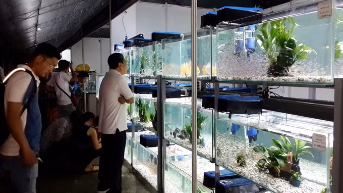 High-tech agriculture fair opens in HCM City ảnh 1