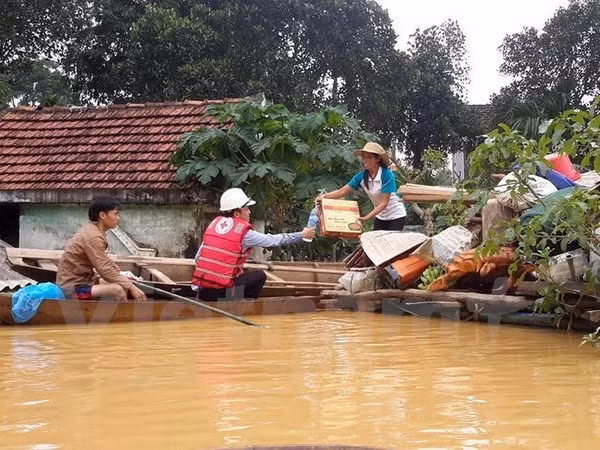 More support for flood victims in central region ảnh 1