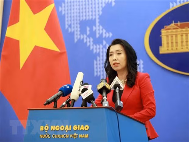 Vietnam, US look to further defence ties: Foreign Ministry spokesperson ảnh 1
