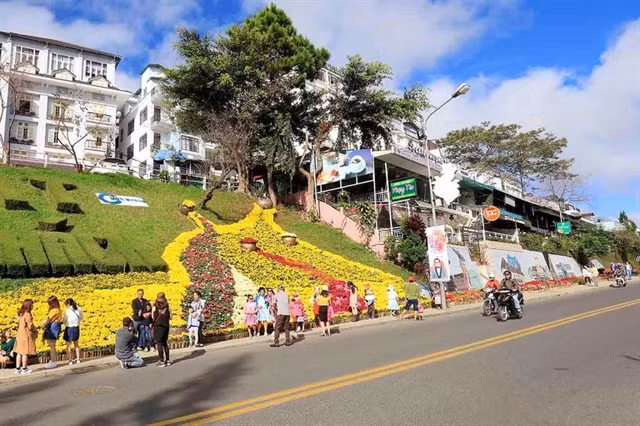 Da Lat actively prepares for flower festival ảnh 1