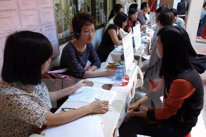 Year-end sees labour shortage ảnh 1