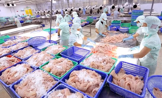 Aquatic exports likely to reach 3 billion USD in Q2 ảnh 1 Aquatic exports likely to reach 3 billion USD in Q2 ảnh 1