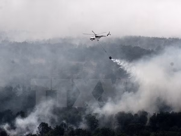 Malaysia, Indonesia hold dialogue on forest fires, haze pollution ảnh 1