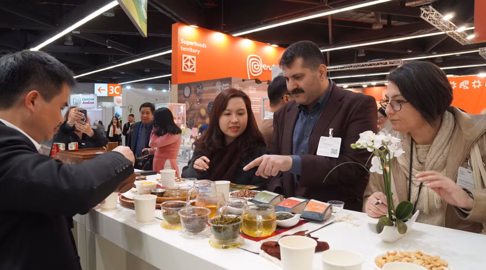 Vietnam attends organic food fair in Germany ảnh 2
