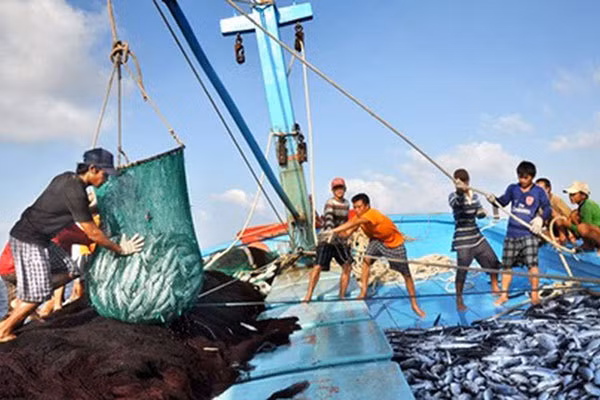📝 OP-ED: Vietnamese coastal localities take long-term efforts to end IUU fishing ảnh 4