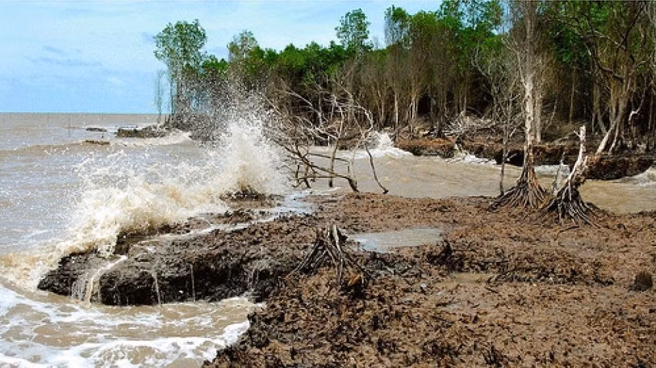 Salt water intrusion to Mekong estuaries forecast to increase in March ảnh 2