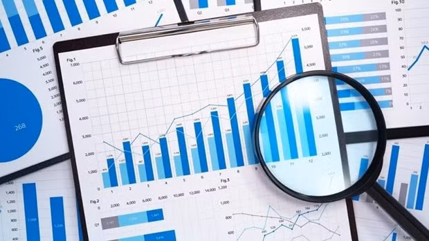 Gov't to conduct 45 surveys and censuses ảnh 1