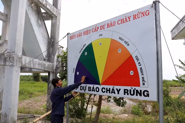 Southern provinces prepare to protect forests in dry season ảnh 1