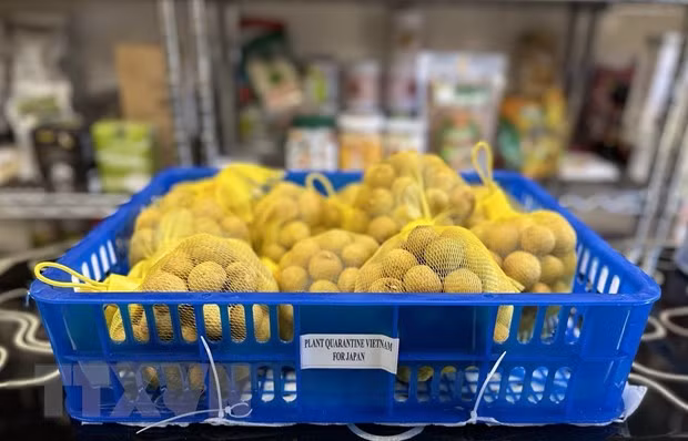 Vietnam needs to build national brands for fruits ảnh 1