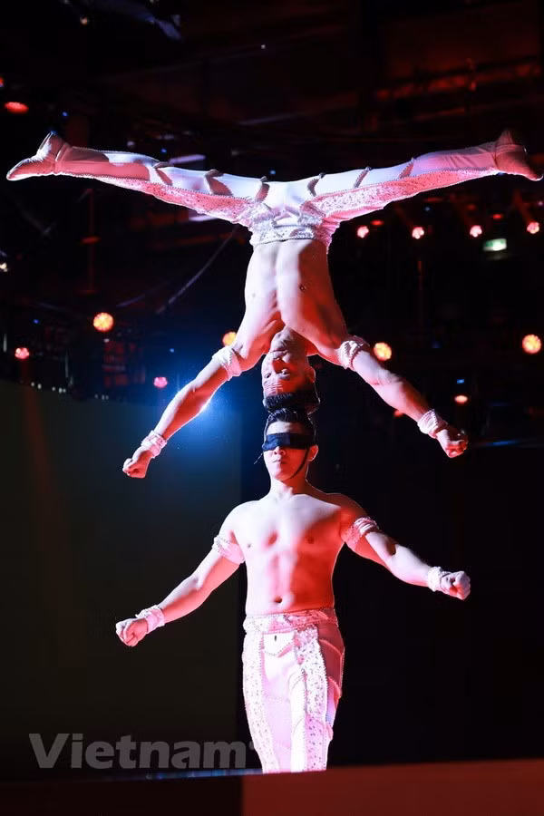 Circus artists Quoc Co, Quoc Nghiep set new world record ảnh 2