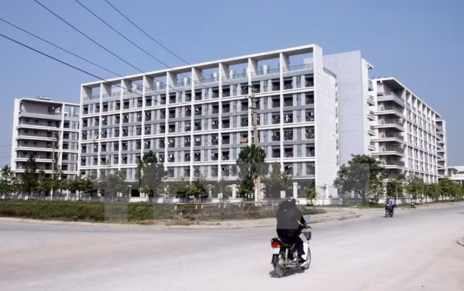 Vietnam needs more cheap housing: VNREA ảnh 1