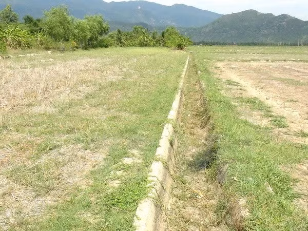 Drought forecast to be less severe in upcoming dry season ảnh 1