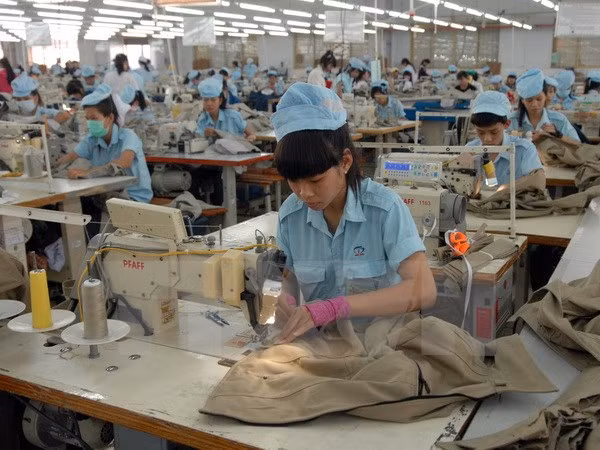 Dong Nai surpasses yearly target in FDI attraction ảnh 1