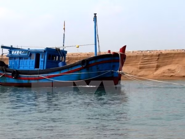 Vietnam moves to protect nationals abroad ảnh 1