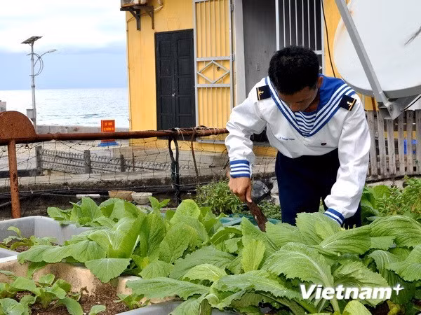 Programme calls for practical support for Truong Sa people ảnh 1