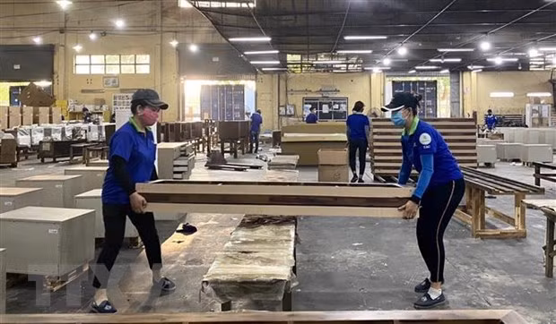 Wood and wooden product exports projected to rake in 25 billion USD by 2030 ảnh 1