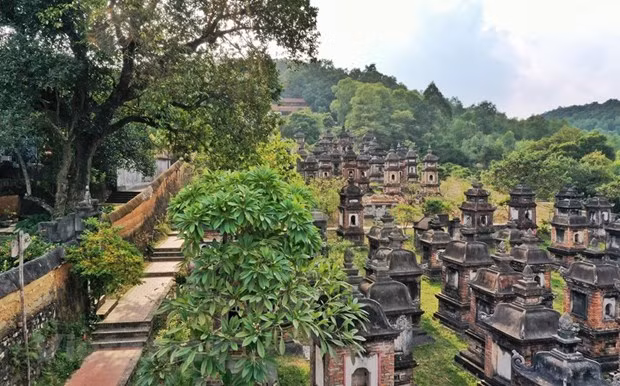 Centuries-old Bo Da pagoda stuns pilgrims ảnh 1