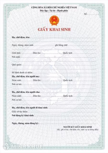 HCM City to pilot issuance of electronic civil status records ảnh 1