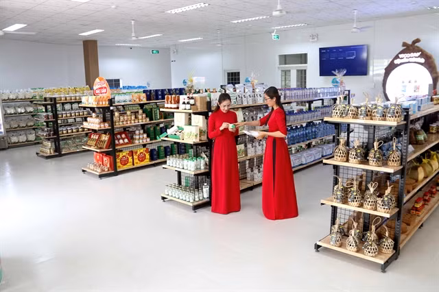 Mekong Delta develops more OCOP products ảnh 1