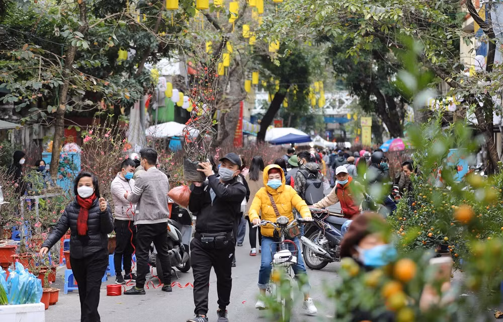 Cold weather to blanket northern Vietnam in Lunar New Year holidays ảnh 2