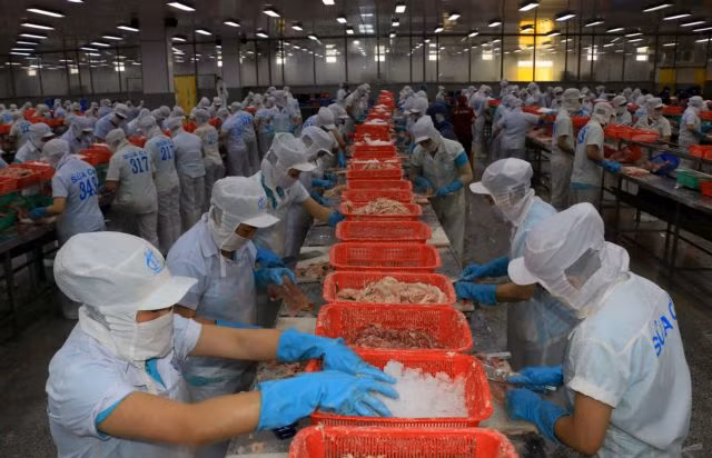 Weakening demand continues to dog Vietnamese firms ảnh 1