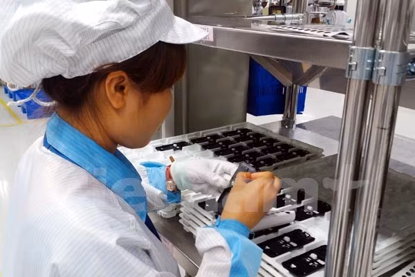 Italian businesses wish to expand trade, investment in Vietnam ảnh 1