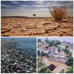 Project supports green growth, climate change response ảnh 1