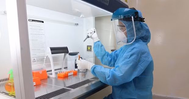 Int'l workshop on molecular diagnostics in microbiology, diseases held in Binh Dinh ảnh 1