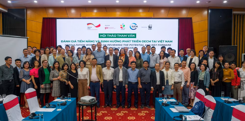 Vietnam seeks to expand acreage of protected natural ecosystems ảnh 1