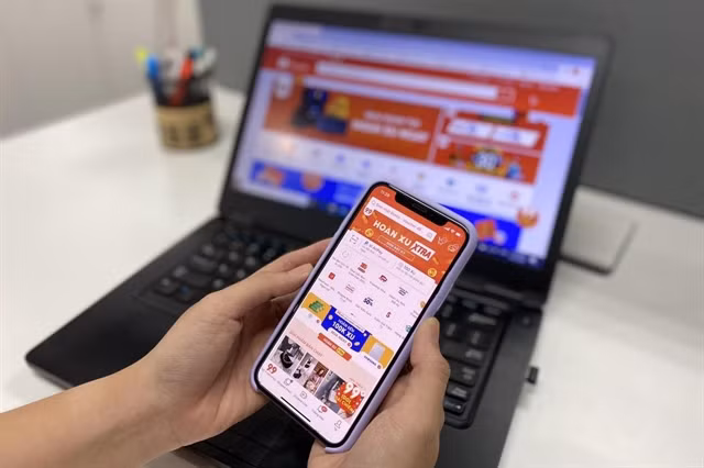 Vietnam's e-commerce grows quickly but unsustainably ảnh 1