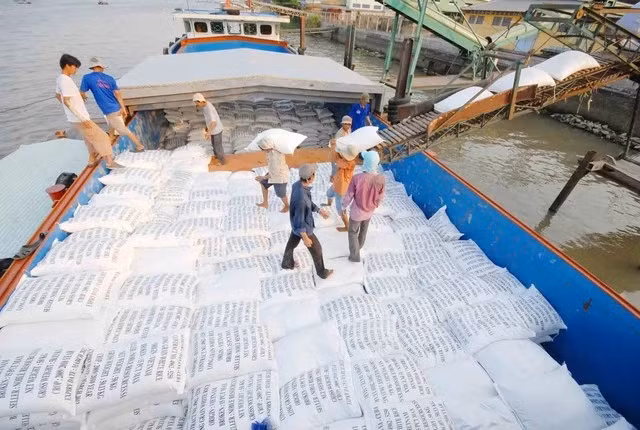 Vietnam’s rice exports hit record high since 1989 ảnh 2