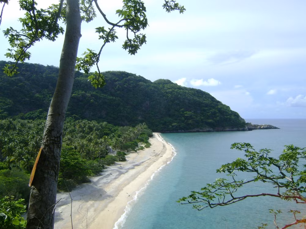 Localities join in efforts to fight plastics pollution ảnh 1