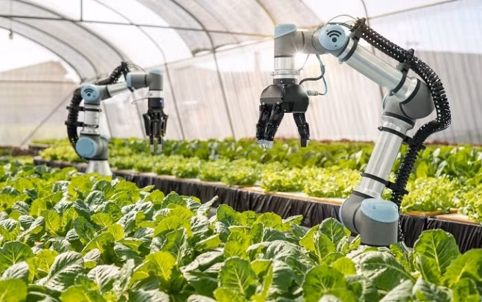 Application of Industry 4.0 technologies opens up new direction for Hanoi agriculture ảnh 1
