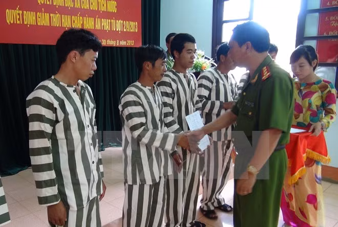 Five teams to inspect granting of pardons to prisoners ảnh 1
