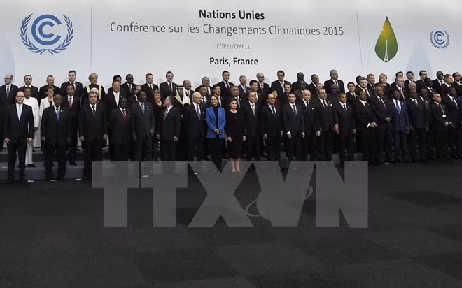 Vietnam actively contributes to COP21 ảnh 1