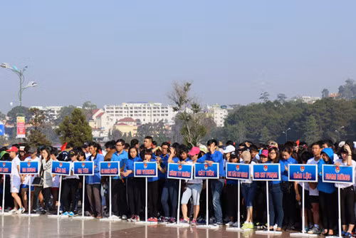 Youth join traffic safety efforts ảnh 1
